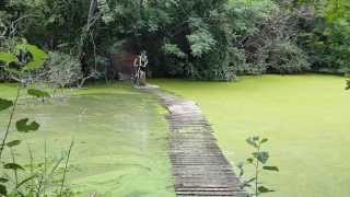 Floating Bridge at Van Gaalens Cheese Farm [upl. by Martin]