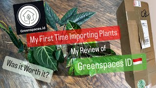 Big Box Store Plants Importing From Greenspaces ID My Plant Review and Plant Import Experience [upl. by Persons986]