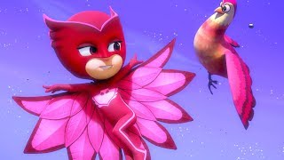 Little Flying Friend  PJ Masks Official [upl. by Elyssa]