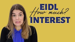 EIDL Repayment Schedule  How much interest will you pay Loan Amortization FREE DOWNLOAD [upl. by Kendra]