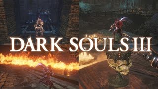 The Complete Guide To Dark Souls 3  Catacombs of Carthus and High Lord Wolnir [upl. by Ayirp]