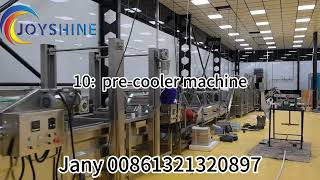 500KG Frozen French Fries Production Line [upl. by Joshua]