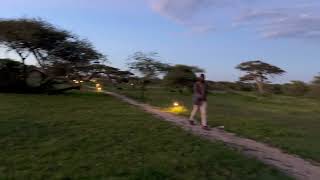 Review Kontik Camp  Ndutu Southern Serengeti [upl. by Haik]