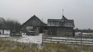 VILLAGE RUSSIE  PREMIERE NEIGE  BELLANA CHERCHE LAMUUUR  lisez sous la vidéo SVP [upl. by Floss439]