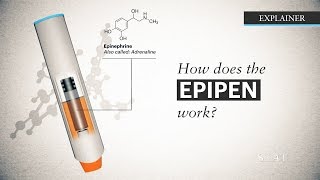 How does the EpiPen work [upl. by Mehitable]