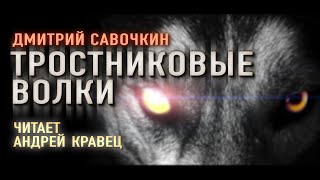 Аудиокнига ДСавочкин quotТростниковые волкиquot Читает Андрей Кравец [upl. by Nahtad]