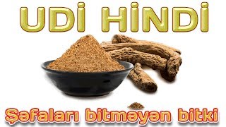 UDİ HİNDİ  ŞƏFALARI BİTMƏYƏN BİTKİ [upl. by Valentijn]