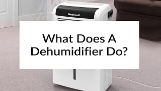 What Does A Dehumidifier Do  Sylvane [upl. by Terencio]