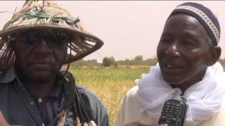 Visite du PRODAM dans les périmètres agricoles de Diowol [upl. by Iorio740]