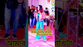 Amar Poraner Pakhi Ta Uriya Giyase 🐦 আমার পরানের পাখিটা উরিয়া গিয়াছে  shorts trending foryou [upl. by Atisor371]