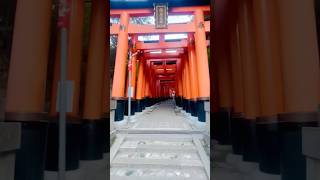 🇯🇵 10000 Torii Gates Walk Kyoto Japan travel Highlights [upl. by Willyt]