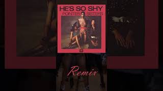 Pointer Sisters  He So Shy remix [upl. by Bresee108]