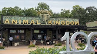 Disney’s Animal Kingdom and Tiffins [upl. by Hoover]