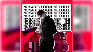 NO SABES LO QUE ME DUELE  RETRO AUDIO [upl. by Francie]