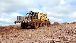 Skidder Tigercat 615C 6x6 Leand Cleaning  Brazil [upl. by Theodore]