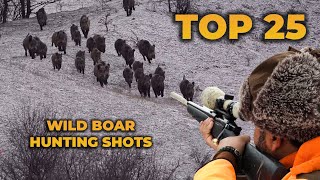 TOP 25 WILD BOAR HUNTING SHOTS [upl. by Akenot]