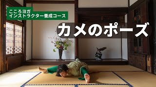 【はじめてヨガ】股関節柔軟・集中力アップ｜カメのポーズ｜こころヨガ [upl. by Aliwt]