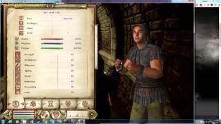 Oblivion Darn UI and OBSE Mod Organizer Installation guide [upl. by Eniawtna]