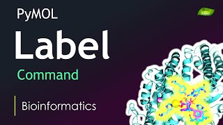 PyMOL Tutorial  Label Command  Molecule Visualization  Bioinformatics  Basic Science Series [upl. by Ewolram611]