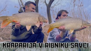 🔴SLO🔴🐺 KRAPARIJA V RIBNIKU SAVCI 🎣 🐺 2 [upl. by Rafi]