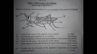 BECE 2024 Science Practical Question And Answers [upl. by Worra]