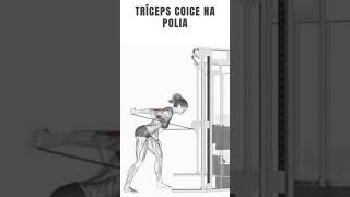 Tríceps coice na polia academia personaltrainer triceps [upl. by Nosduh]