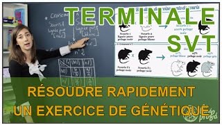 Résoudre rapidement un exercice de génétique  SVT Terminale S  Les Bons Profs [upl. by Lynette]