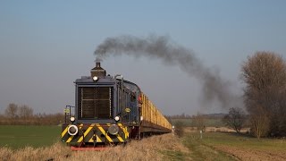 Holzverkehr in der Wetterau mit V36 [upl. by Atteyram527]