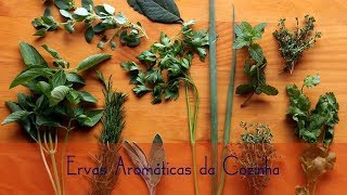 Conheça todas ervas aromáticas da cozinha [upl. by Filler513]