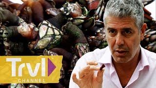 Rare Barnacles and Seafood Stews in Ecuador  Anthony Bourdain No Reservations  Travel Channel [upl. by Nahtanha481]