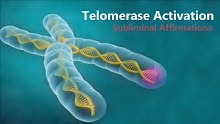 𝄞 Telomerase Activation  Telomere Rejuvenation for Eternal Youth V21  Classical Music [upl. by Leidgam]