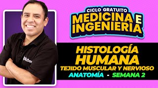 ANATOMÍA  Histología Humana tejido muscular y tejido nervioso [upl. by Amlet]