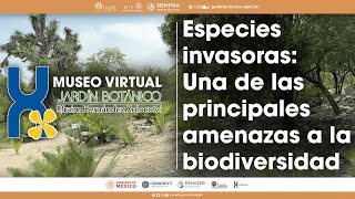 Especies invasoras Una de las principales amenazas a la biodiversidad [upl. by Irakab]