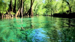 Relaxing Float Down Floridas Ichetucknee River [upl. by Ola]