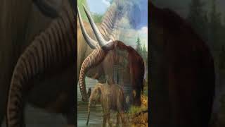 Evolución de los elefantes 3 Gigantes de la Era Glacialcuriosidades prehistoriaelefante [upl. by Ertha]