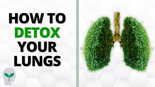 Do THIS to Detox Your Lungs at Home  Easy StepbyStep [upl. by Beacham]