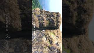 Tringalwadi  Tringalwadi fort  igatpuri  whatsapp status  reels [upl. by Alym]