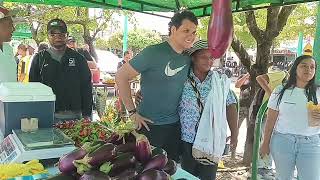 primera feria campesina mujeres ammucinjai mujeres ammucic la jagua de Ibirico éxito total [upl. by Aivatco]