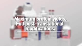 Expi293™ Expression System for Structural Biology Applications [upl. by Trinia]