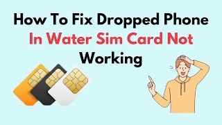 How to Fix Dropped Phone In Water Sim Card Not Working [upl. by Krilov]