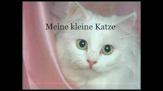 Meine Kleine Katze  Deutsches Katzen Kinderlied  German Cat Children Song [upl. by Salter]