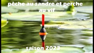 PÊCHE AUX SANDRE ET A LA PERCHE AU VIF SAISON 2023 [upl. by Raymund]