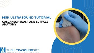 MSK sonography of the Calcaneofibular ligament [upl. by Kawai]