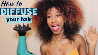 How to use a hair diffuser with Cantu products photoshoot day [upl. by Assilak]