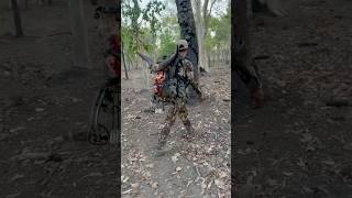 Bowhunting Banteng In Australia’s Northern Territory 📍🐂 [upl. by Ezar]