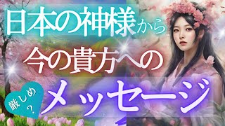 神様から貴方へ～新年度に向けて～【辛口あり】個人鑑定級・未来予知リーディング✨当たるタロットオラクル 🌎️見た時がタイミング☆～仕事運 金運 恋愛 対人関係 ふなチャンネル 風菜チャンネル [upl. by Eiddam944]