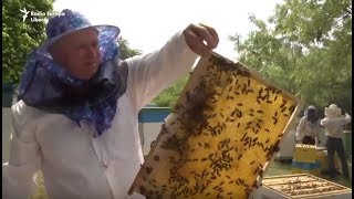 Pur și Simplu La prisaca lui Grigore ApiculturaBeekeeping [upl. by Renaxela505]