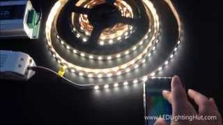 LEDLightingHut 4 In 1 RGBW SMD 5050 Flex LED Strip [upl. by Armallas]