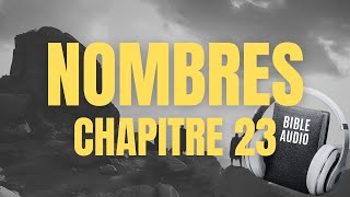 NOMBRES 23  LA BIBLE AUDIO avec textes [upl. by Colwell]