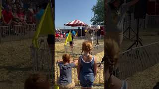 Pig races is super fun animallover animals shortsfeed shortsvideo short [upl. by Miran549]